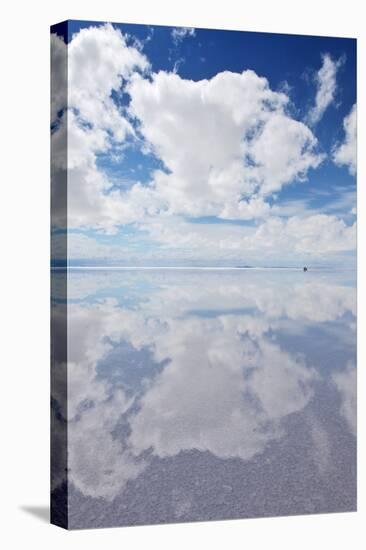 Salar De Uyuni, Salt Flat in Bolivia-zanskar-Premier Image Canvas