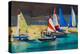 Salcombe Smalls Cove Dinghies-Jennifer Wright-Premier Image Canvas