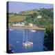 Salcombe, South Devon, England-Roy Rainford-Premier Image Canvas