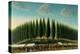 Salem Common on Training Day, 1808-George Ropes-Premier Image Canvas