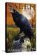 Salem, Massachusetts - Raven and Skull-Lantern Press-Stretched Canvas