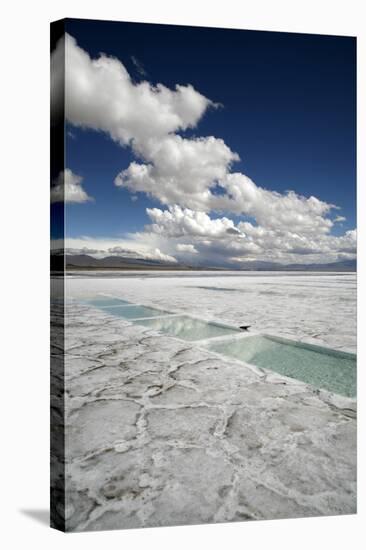 Salinas Grandes, Jujuy Province, Argentina, South America-Yadid Levy-Premier Image Canvas