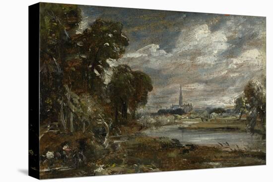 Salisbury Cathedral from the River Nadder, C.1829 (Oil on Beige Wove Paper, Mounted on Laminate Car-John Constable-Premier Image Canvas