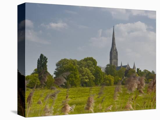 Salisbury Cathedral, Salisbury, Wiltshire, England, United Kingdom, Europe-Julian Elliott-Premier Image Canvas