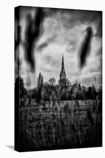 Salisbury Cathedral-Rory Garforth-Premier Image Canvas