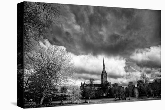 Salisbury Cathedral-Rory Garforth-Premier Image Canvas