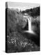 Salish Lodge and English Daisies, Snoqualmie Falls, Washington, USA-Charles Crust-Premier Image Canvas
