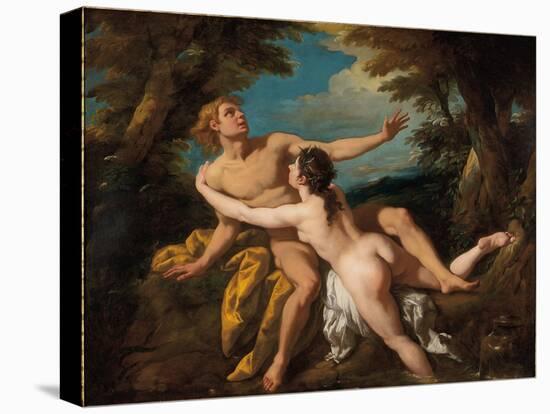 Salmacis and Hermaphroditus (Oil on Canvas)-Jean Francois de Troy-Premier Image Canvas