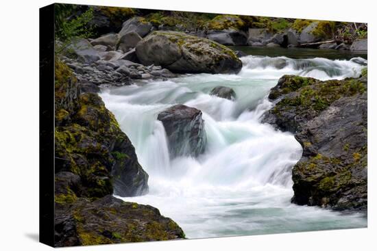 Salmon Cascades-Douglas Taylor-Stretched Canvas