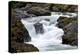 Salmon Cascades-Douglas Taylor-Stretched Canvas