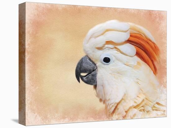 Salmon Crested Cockatoo Portrait 1-Jai Johnson-Premier Image Canvas