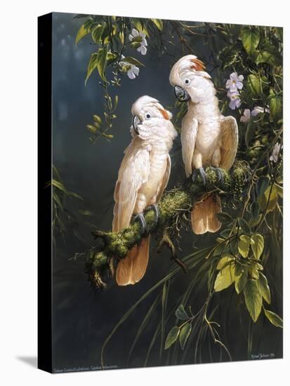 Salmon Crested Cockatoos-Michael Jackson-Premier Image Canvas