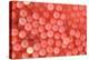 Salmon Eggs-Alan Sirulnikoff-Premier Image Canvas