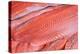 Salmon Fillets for Sale in Fish Market-Jon Hicks-Premier Image Canvas