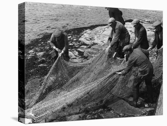 Salmon in Nets-null-Premier Image Canvas