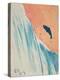 Salmon Leap-George Adamson-Premier Image Canvas