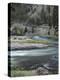 Salmon River, Idaho, USA-Gerry Reynolds-Premier Image Canvas