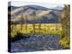 Salmon River near Stanley, Idaho, USA-Chuck Haney-Premier Image Canvas