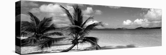 Salomon Beach Us Virgin Islands-null-Premier Image Canvas