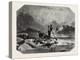 Salon of 1855, Swiss School, Stop Hunting Chamois-null-Premier Image Canvas