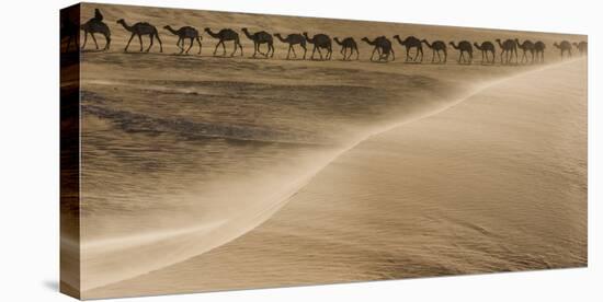 Salt caravan, Sahara Desert, Mali-Art Wolfe-Premier Image Canvas