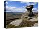 Salt Cellar Rock, Derwent Edge, with Purple Heather Moorland, Peak District National Park, Derbyshi-Neale Clark-Premier Image Canvas