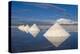 Salt Cones, Salar De Uyuni, Potosi, Bolivia, South America-Gabrielle and Michel Therin-Weise-Premier Image Canvas