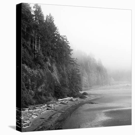 Salt Creek III-Laura Marshall-Premier Image Canvas