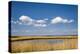 Salt Marsh, Amrum Island, Northern Frisia, Schleswig-Holstein, Germany-Sabine Lubenow-Premier Image Canvas