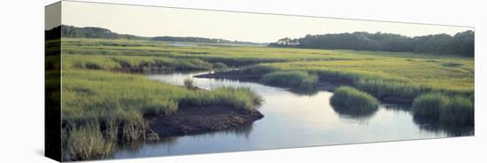 Salt Marsh Cape Cod Ma, USA-null-Premier Image Canvas