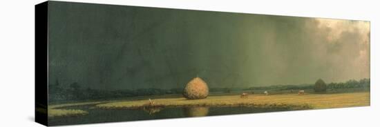 Salt Marsh Hay, C.1865-Martin Johnson Heade-Premier Image Canvas