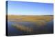 Salt Marsh, Sandwich, Cape Cod, Massachusetts, New England, United States of America, North America-Wendy Connett-Premier Image Canvas