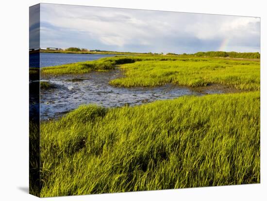 Salt Marsh side of Long Beach in Stratford, Connecticut, USA-Jerry & Marcy Monkman-Premier Image Canvas