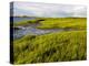 Salt Marsh side of Long Beach in Stratford, Connecticut, USA-Jerry & Marcy Monkman-Premier Image Canvas