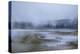 Salt Marsh-James McLoughlin-Premier Image Canvas