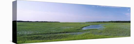 Salt Marshes, Atlantic Coast, Jacksonville, Florida, USA-null-Premier Image Canvas