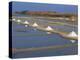 Salt Pans in Marshes, Ile De Re, Poitou Charentes, France, Europe-Thouvenin Guy-Premier Image Canvas