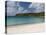 Salt Pond Bay, St John, United States Virgin Islands, USA, US Virgin Islands, Caribbean-Trish Drury-Premier Image Canvas