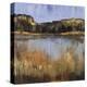 Salt Water Marsh II-Mark Pulliam-Stretched Canvas