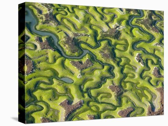 Saltmarsh at Low Tide Near Cadiz, Spain, February 2008-Niall Benvie-Premier Image Canvas