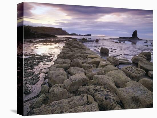 Saltwick Bay Is South of Whitby and the Distinctively Shaped Black Nab Rock-LatitudeStock-Premier Image Canvas