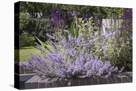 Salvia and Other Blue and Purple Flowers in Raised Bed in Garden, London-Pedro Silmon-Stretched Canvas