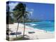 Sam Lords Beach, Barbados, West Indies, Caribbean, Central America-John Miller-Premier Image Canvas