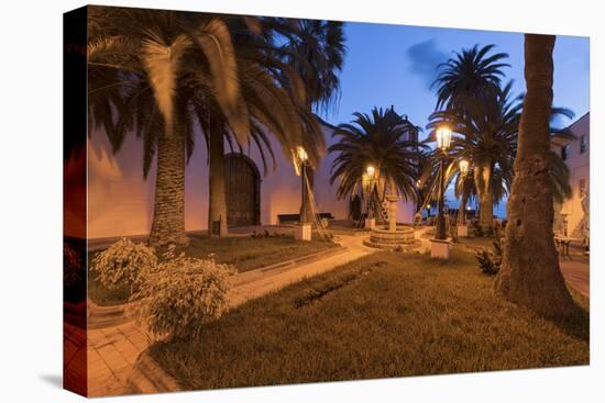 San Andres, Palms, Island La Palma, Canary Islands, Spain-Rainer Mirau-Premier Image Canvas