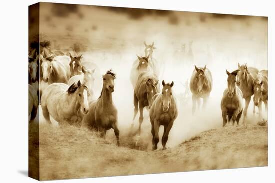 San Cristobol Horses-Lisa Dearing-Premier Image Canvas