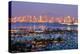 San Diego at Night-Andy777-Premier Image Canvas