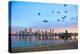 San Diego City Scape at Dawn with Seagulls Flying in the Foreground-pdb1-Premier Image Canvas