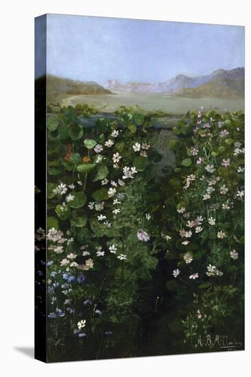 San Francisco Garden-Alberta Binford McCloskey-Premier Image Canvas