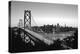 San Francisco-null-Stretched Canvas