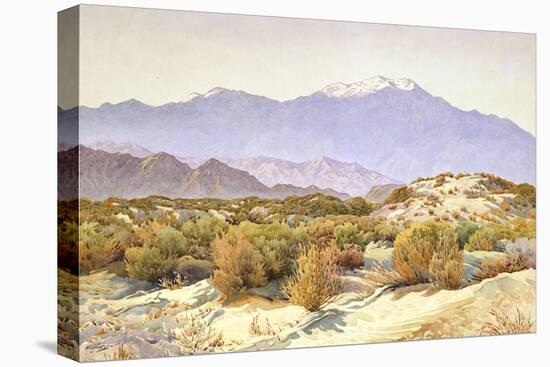 San Jacinto-Gunnar Widforss-Premier Image Canvas